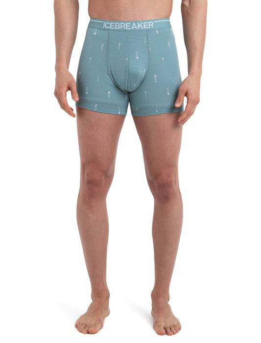 Icebreaker Merino Anatomica Boxers Palm Trail Cloud Ray Herr - Underkläder