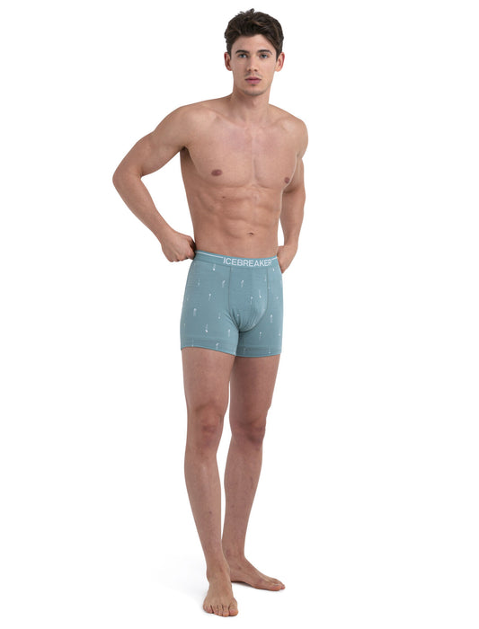 Icebreaker Merino Anatomica Boxers Palm Trail Cloud Ray Herr - Underkläder