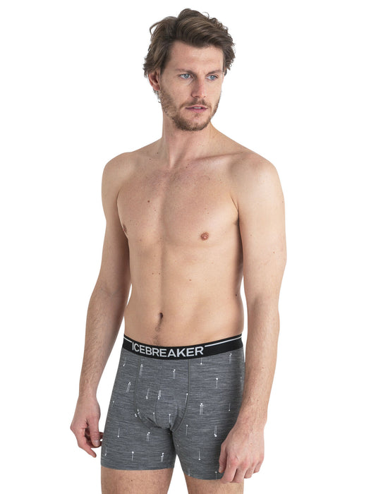 Icebreaker Merino Anatomica Boxers Palm Trail Gritstone Heather Herr - Underkläder