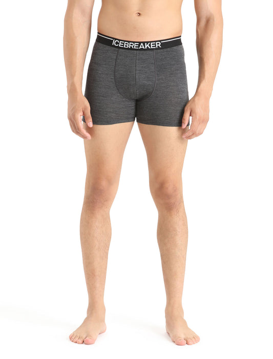 Icebreaker Merino Anatomica Boxers Jet Heather Herr - Underkläder