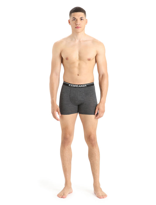 Icebreaker Merino Anatomica Boxers Jet Heather Herr - Underkläder