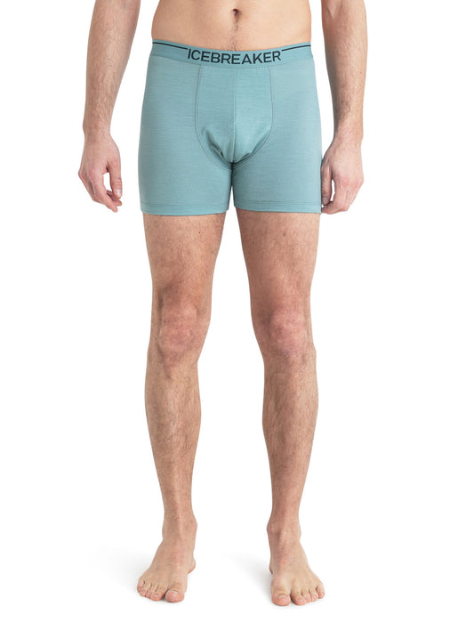 Icebreaker Merino Anatomica Boxers Cloud Ray Herr - Underkläder