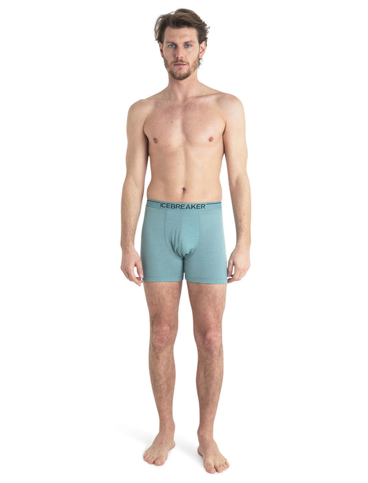 Icebreaker Merino Anatomica Boxers Cloud Ray Herr - Underkläder