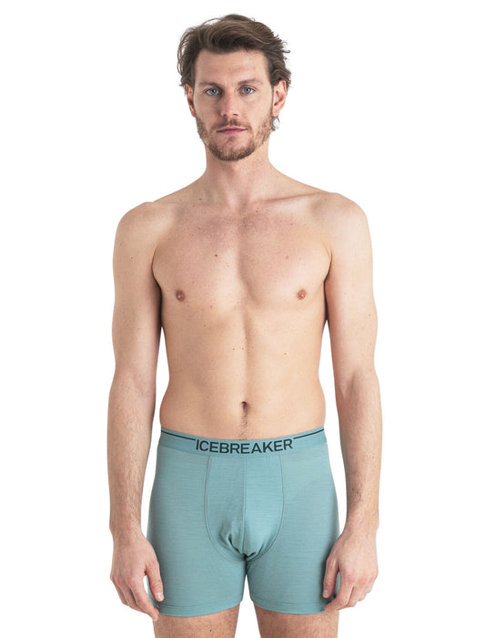 Icebreaker Merino Anatomica Boxers Cloud Ray Herr - Underkläder