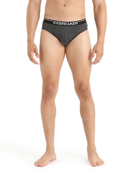 Icebreaker Merino Anatomica Briefs Jet Heather Herr - Underkläder