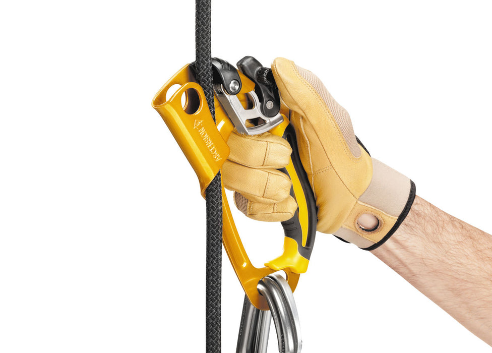 Petzl Ascension Ascenders