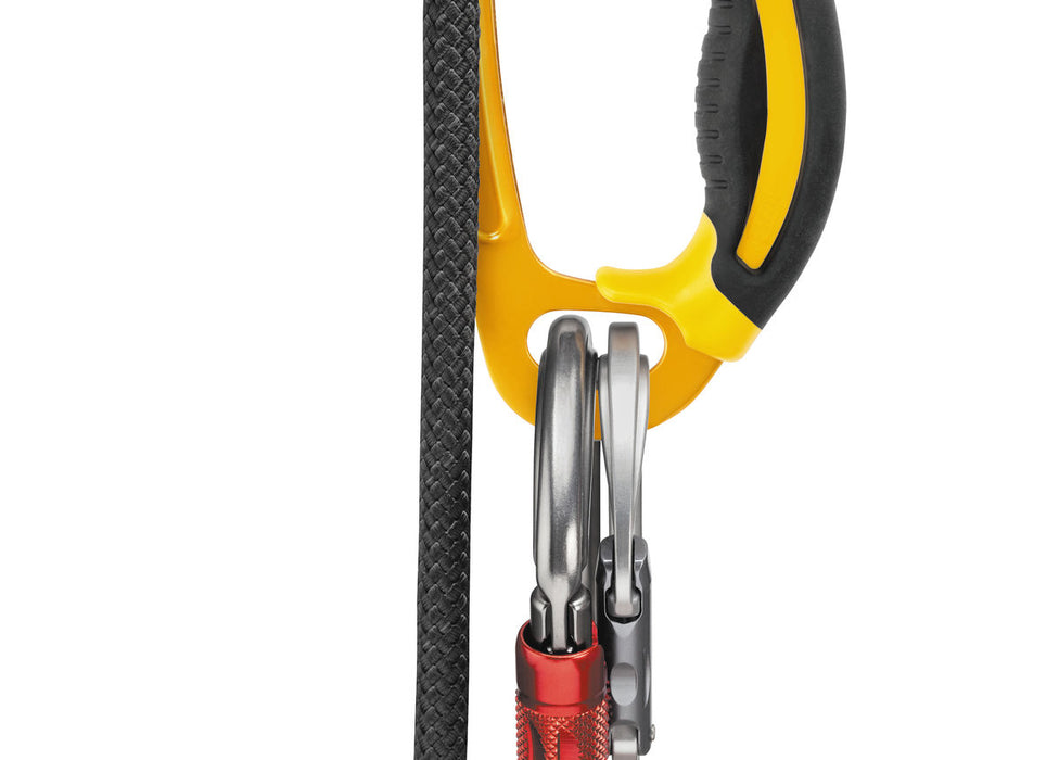 Petzl Ascension Ascenders