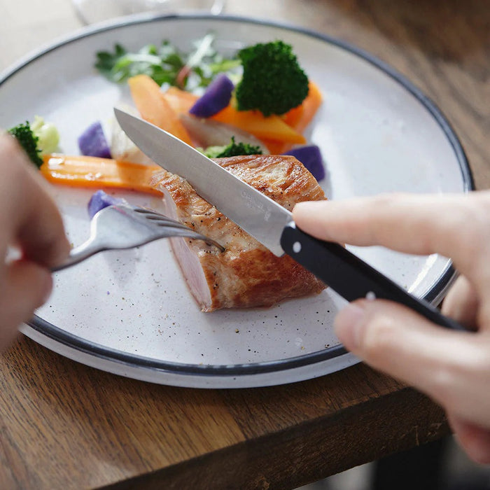 Opinel Bon Appetit Azure