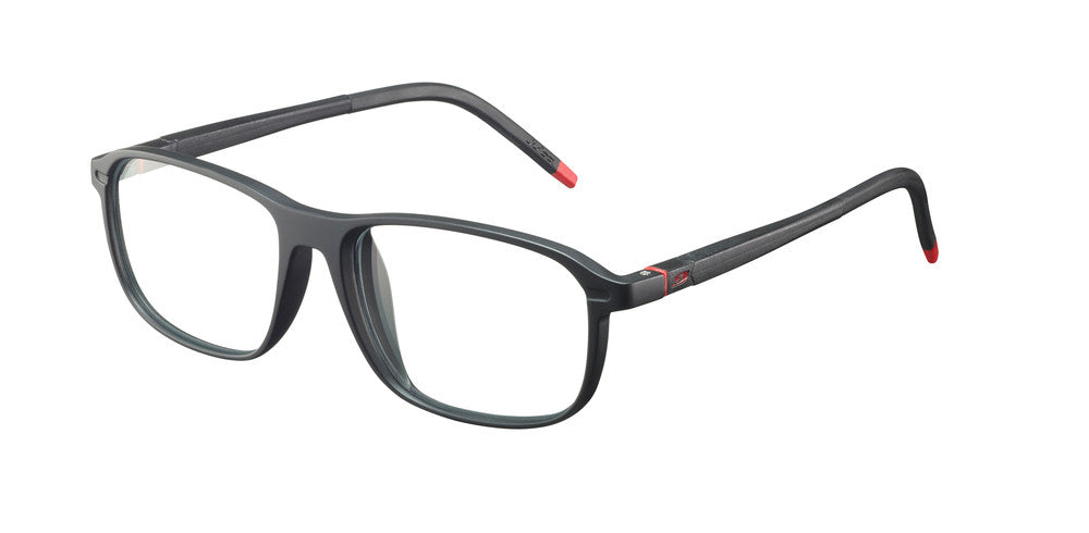 Julbo Flexio-R54