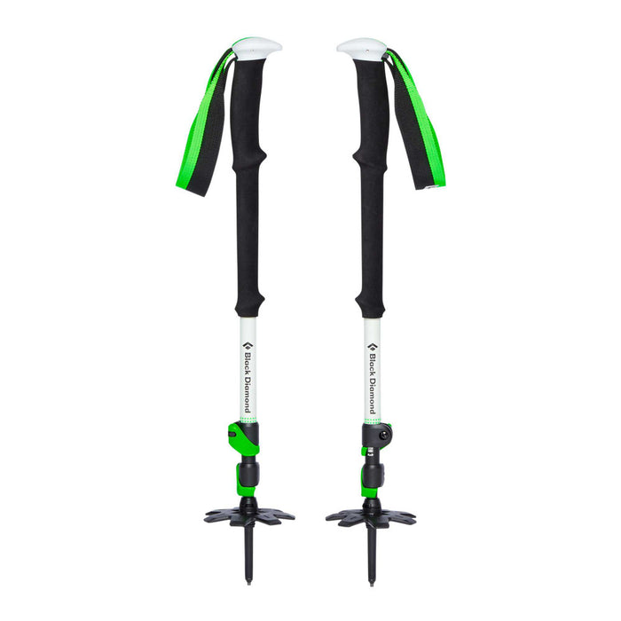 Black Diamond Expedition 3 Ski Poles   - Stavar