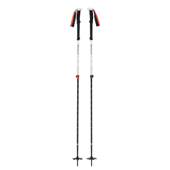 Black Diamond Expedition 2 Ski Poles   - Stavar